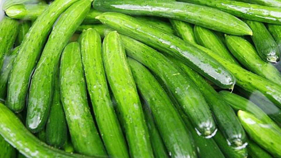 thuc pham nao ho tro thanh loc co the hieu qua