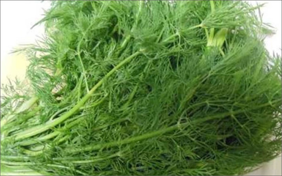 thuc pham nao ho tro thanh loc co the hieu qua