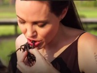 phat hien nhen khong lo 8 mat o mexico