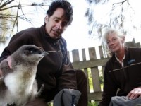 nhin may de canh bao mua dong voi rong