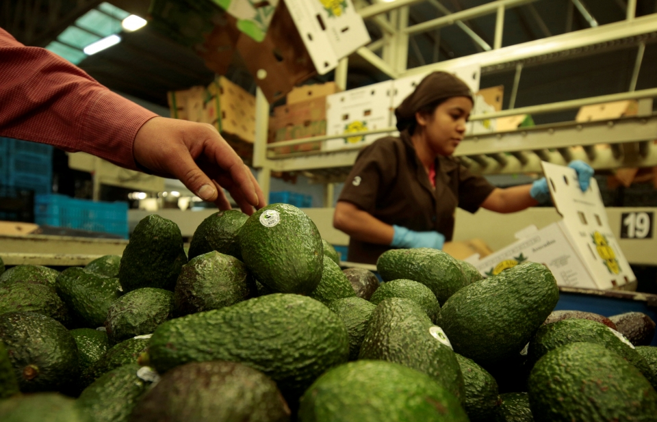 Vòng 7 tái đàm phán NAFTA: Đặt mục tiêu hoàn tất thêm 7 chương mới