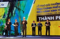 chi so papi 2016 buc tranh da chieu ve quan tri hanh chinh cong