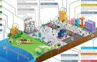 tinh te den tung doi tat