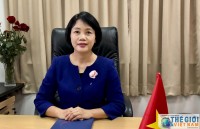 khai truong trung tam hop tac viet nam singapore