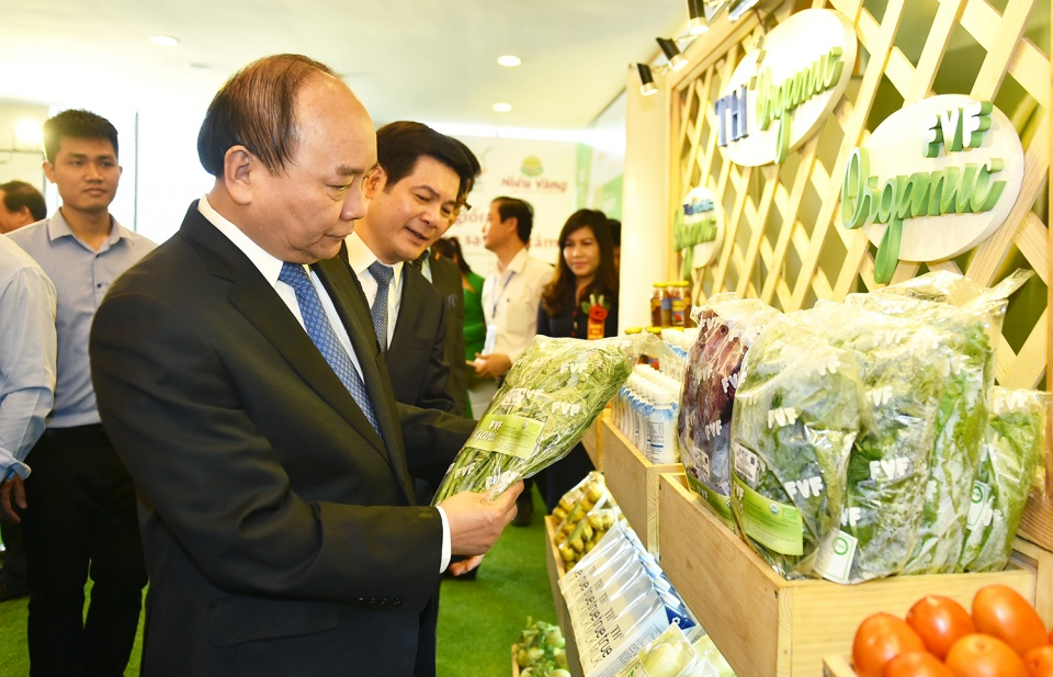 Thủ tướng: Thái Bình cần phát triển hướng ra biển