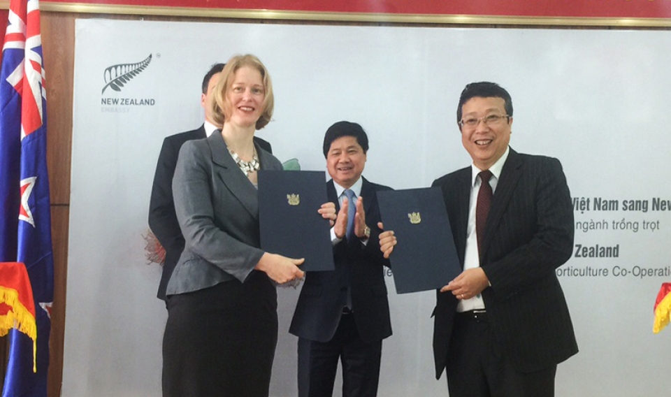 Chôm chôm Việt vừa được cấp "thị thực" vào New Zealand chom chom viet vua duoc cap thi thuc vao new zealand