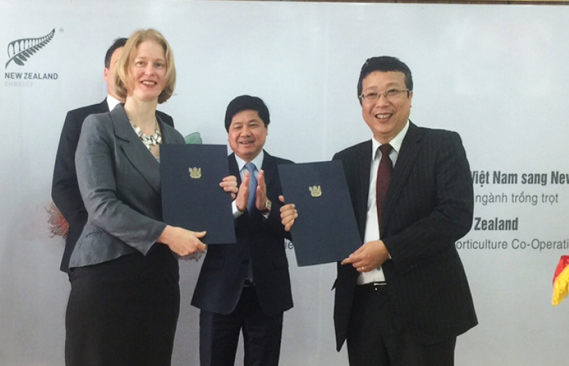 Chôm chôm Việt vừa được cấp "thị thực" vào New Zealand