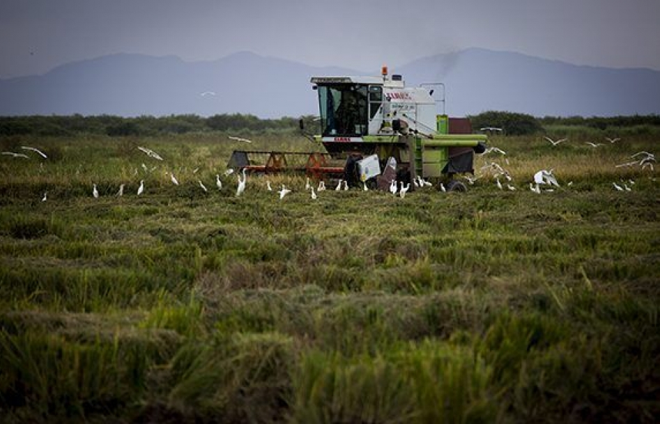 ​Cuba và Mỹ đối thoại về hợp tác nông nghiệp
