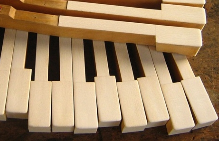 EU nỗ lực chấm dứt nạn buôn bán ngà voi