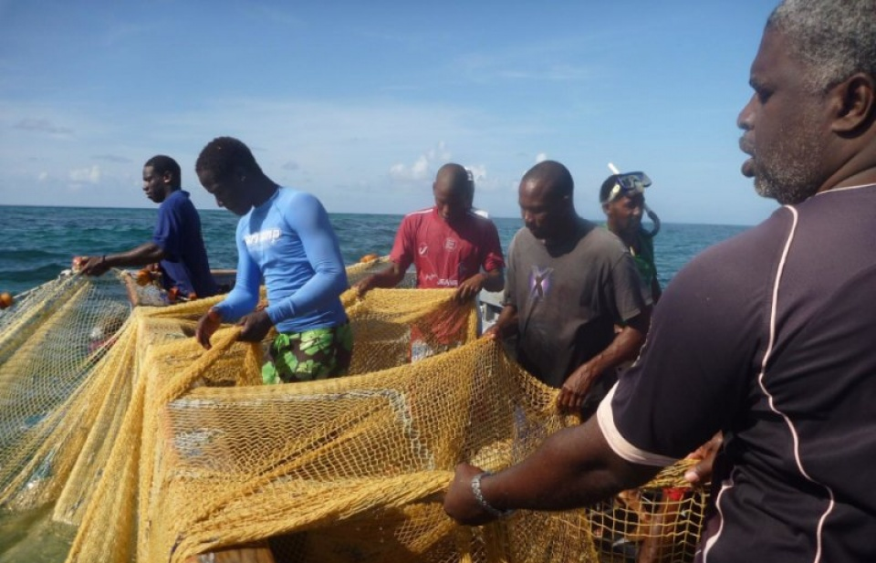 Đề xuất soạn thảo "Lời thề Hippocrat" về bảo tồn đại dương