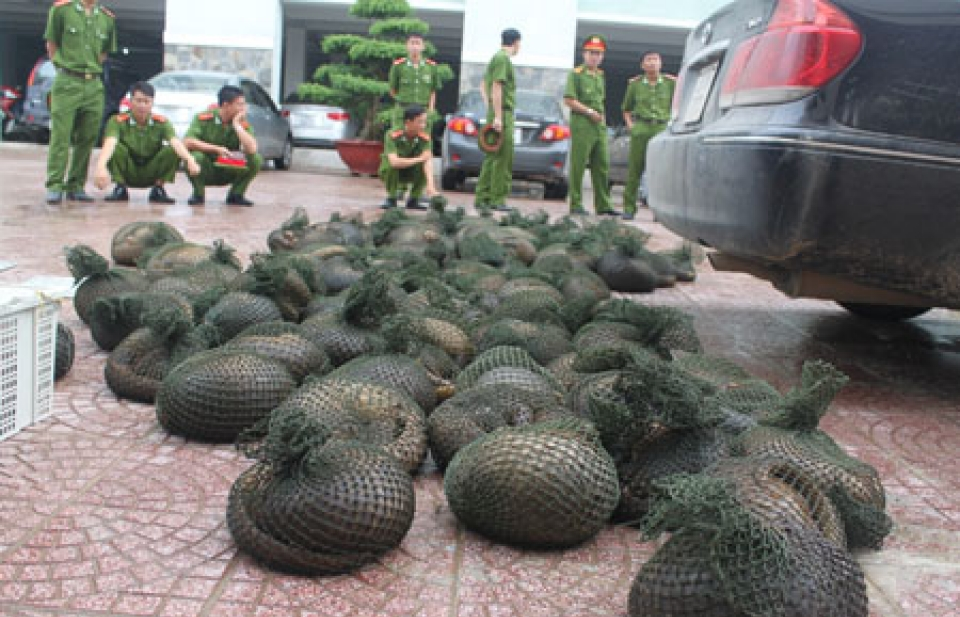 Bảo vệ đa dạng sinh học ở Việt Nam vẫn rất cấp thiết