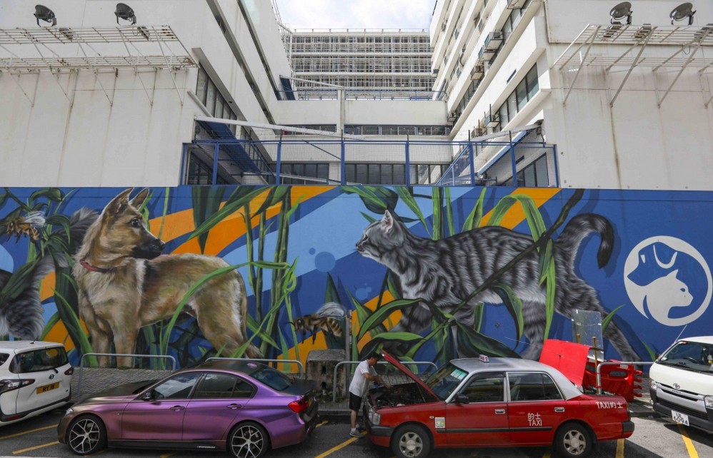 Khó rời mắt khỏi những siêu phẩm tranh tường trên đường phố Hong Kong