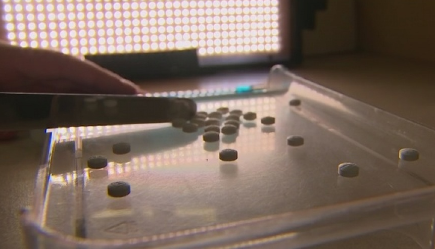 Mỹ buộc tội hàng trăm đối tượng gian lận y tế