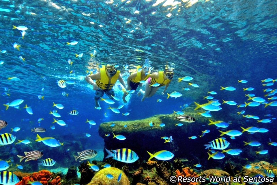 Du lịch Singapore muốn biến đam mê thành hiện thực du lich singapore muon bien dam me thanh hien thuc