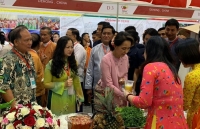 ngay gia dinh asean va doi tac 2019 cuoc hoi ngo dac biet