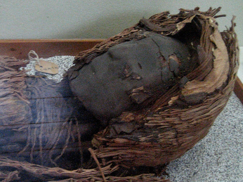 Chile tìm kiếm sự hỗ trợ để bảo tồn các xác ướp cổ nhất thế giới