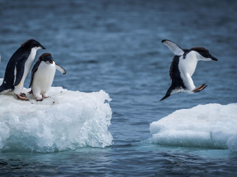 Vẻ đẹp kỳ vĩ như “một kỳ quan thế giới” ở Nam Cực