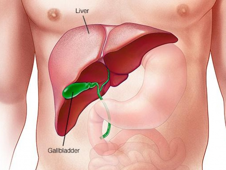 Những dấu hiệu cần đi khám gan ngay