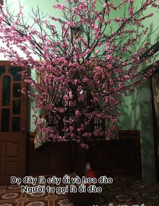 Tương tự, cành ổi ngoài vườn được gia đình mang về làm thân cây và mua thêm hoa đào nhựa đính lên trực tiếp.