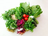 dang sau xu huong can thi