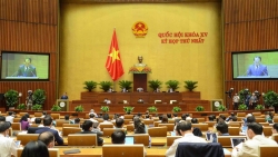 Đại biểu Quốc hội: Đề nghị quan tâm đến hành lang luật về hội nhập, sớm có dự án luật phòng chống dịch