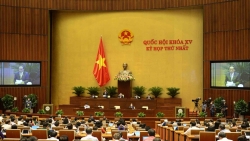 Giảm nghèo bền vững: Cần đặt con người ở vị trí trung tâm, khơi dậy ý chí vươn lên thoát nghèo