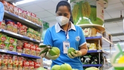 Covid-19: TP. Hồ Chí Minh loay hoay tìm đầu ra cho đơn hàng 'đi chợ hộ'