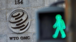 WTO hoàn tất vòng một tham vấn bí mật để chọn tân tổng giám đốc
