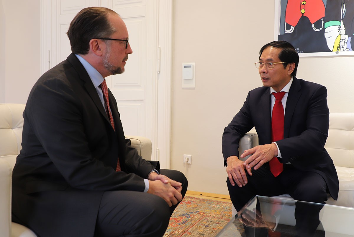 Bộ trưởng Ngoại giao Bùi Thanh Sơn hội đàm với Bộ trưởng Ngoại giao Áo