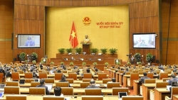 Thí điểm một số cơ chế, chính sách đặc thù phát triển các địa phương: Hải Phòng, Nghệ An, Thanh Hóa và Thừa Thiên Huế