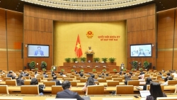 Mở rộng đối tượng tham gia, tiến tới thực hiện bảo hiểm xã hội toàn dân