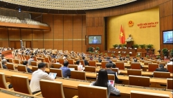 Ngày làm việc thứ 7: Quốc hội thảo luận trực tuyến về Luật Cảnh sát cơ động và Luật Sở hữu trí tuệ (sửa đổi)