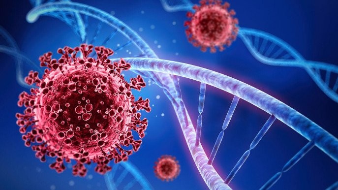 Covid-19: Bangladesh, Mauritius ghi nhận những ca nhiễm biến thể Omicron đầu tiên Covid-19: Bangladesh, Mauritius ghi nhận những ca nhiễm biến thể Omicron đầu tiên