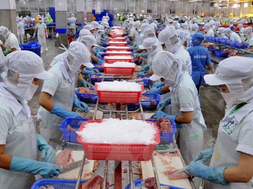 Năm 2017: Nhận diện 7 thách thức đối với ngành thủy sản