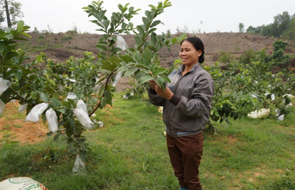Ra mắt chương trình hỗ trợ nông dân phát triển sản xuất