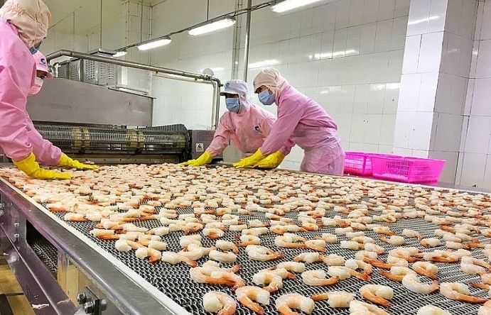 Năm 2020, xuất khẩu thủy sản được dự báo mang về 9 tỷ USD