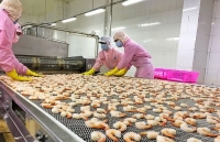 bat chap dich covid 19 kim ngach xuat khau cua viet nam tang 68 so voi cung ky 2019