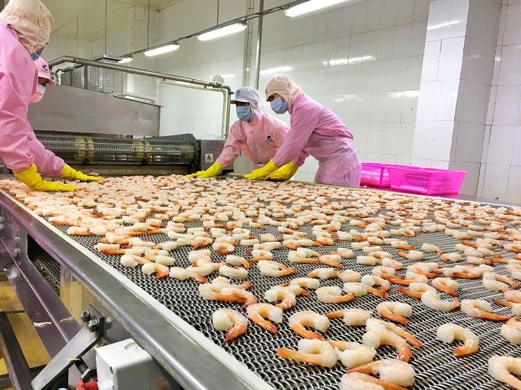 Xuất khẩu sang EU và những lưu ý cho doanh nghiệp Việt 'hậu dịch' Covid-19