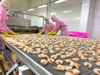 evfta va evipa mang den cho viet nam co hoi tro thanh trung tam san xuat cua khu vuc