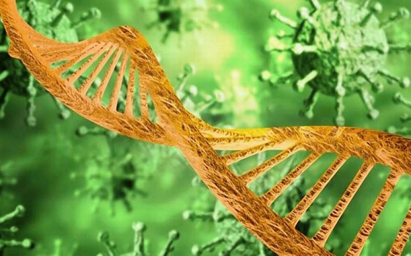 Dịch Covid-19: Ấn Độ nuôi cấy thành công biến thể mới của SARS-CoV-2; Nga-Iran 'bắt tay' sản xuất vaccine