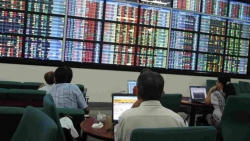 Thị trường chứng khoán ngày 4/1: Dòng tiền ồ ạt chảy vào thị trường