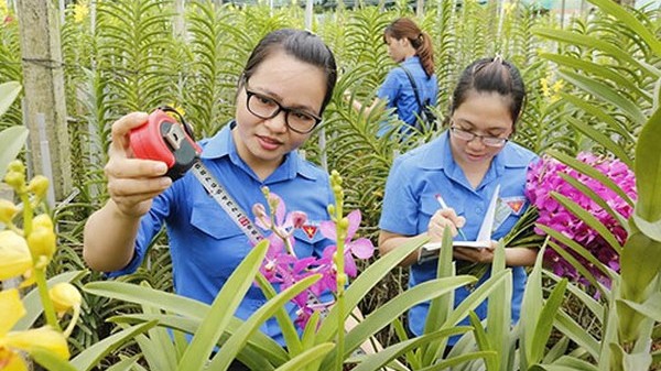 Thúc đẩy sự tham gia của thanh niên trong phát triển và khởi nghiệp