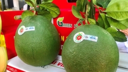 Xuất khẩu ngày 3-7/1: Tìm cách đưa nông sản sang Trung Quốc bằng đường biển; bưởi Việt Nam sắp 'lên kệ' thị trường Mỹ