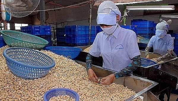 Xuất khẩu ngày 3-7/1: