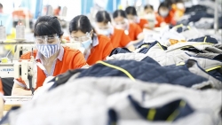 Các nhà đầu tư FDI vẫn đặc biệt yêu thích Việt Nam bởi 3 yếu tố này