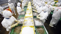 Đặt nền tảng để kinh tế trở lại lộ trình tăng trưởng