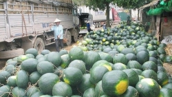 Bộ Công Thương thành lập Ban chỉ đạo giải quyết ùn tắc nông sản