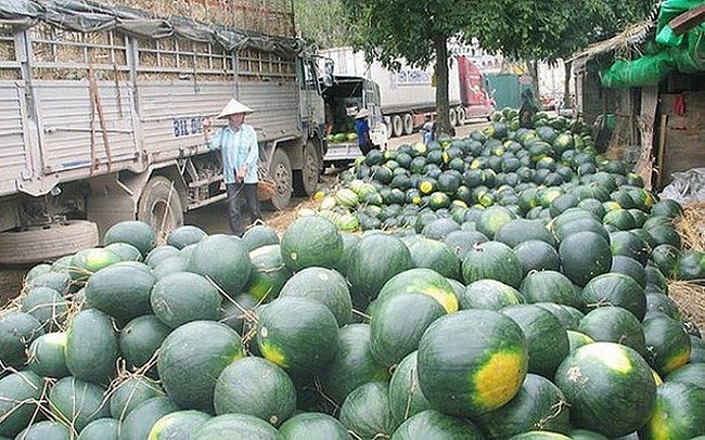 Bộ Công Thương thành lập Ban chỉ đạo giải quyết ùn tắc nông sản Bộ Công Thương thành lập Ban chỉ đạo giải quyết ùn tắc nông sản