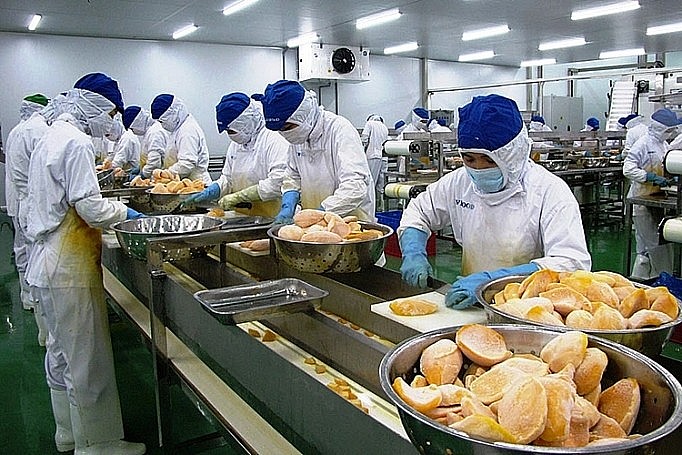 Việt Nam dẫn đầu Đông Nam Á về xuất khẩu sang Hungary Việt Nam dẫn đầu Đông Nam Á về xuất khẩu sang Hungary