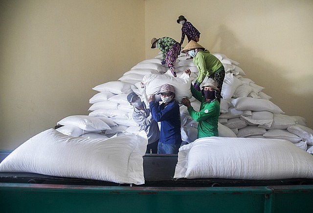 Xuất khẩu ngày 17-21/1: Xuất khẩu ngày 17-21/1: